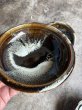 画像7: 西持田窯 ふち返し4.5寸鉢 (7)