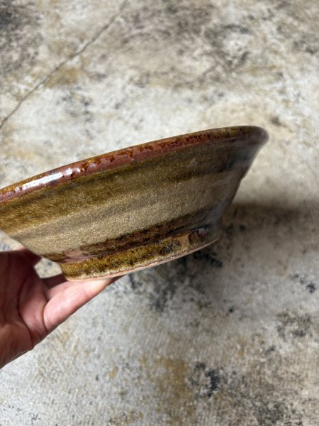 画像4: 井上尚之 7寸鉢 (4)