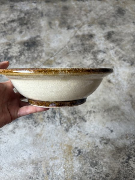 画像4: 井上尚之 7寸鉢 (4)