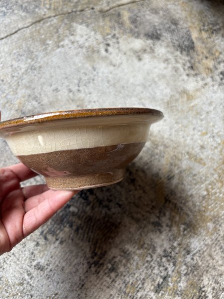 画像2: 井上尚之 5寸鉢 (2)