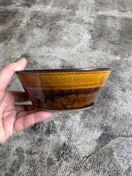 画像7: 井上尚之 5寸鉢 (7)