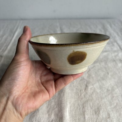 画像1: 登川均 安南鉢4.5寸