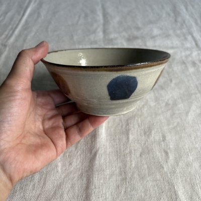 画像1: 登川均 安南鉢4.5寸